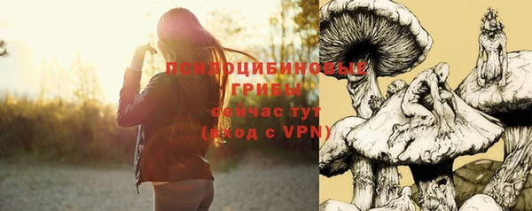 ALPHA-PVP Армянск